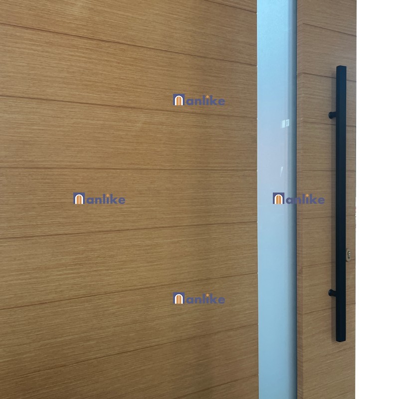frosted glass aluminum pivot door