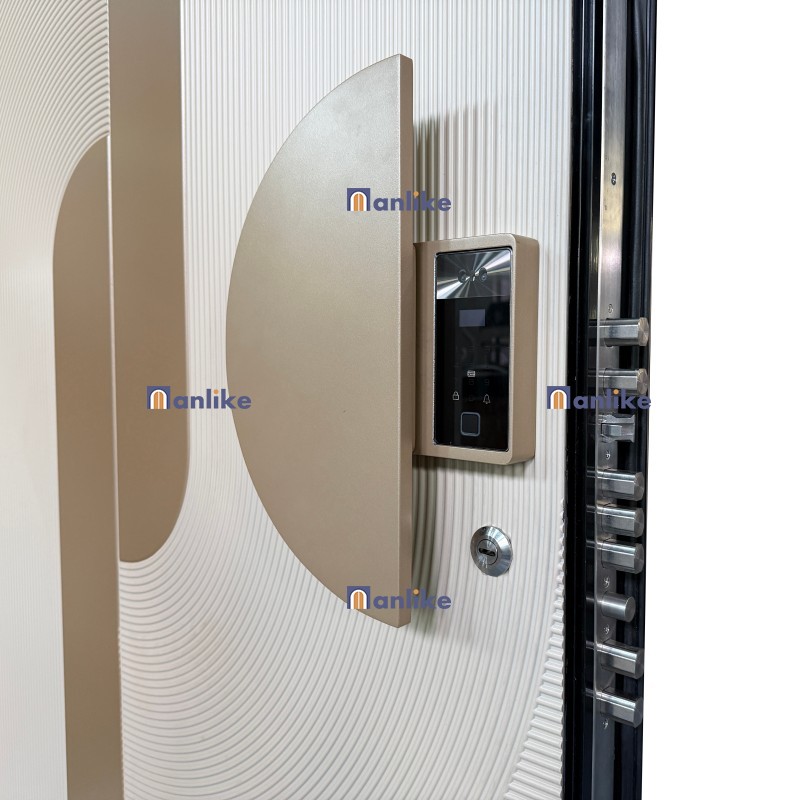 embedded hidden smart lock